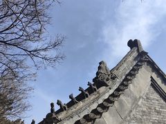 -妙峰山风景名胜区