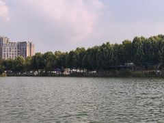 -洋湖国家湿地公园