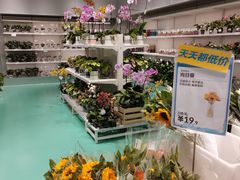 -盒马X会员店(上海森兰商都店)