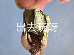 -舌尖上·霞浦滩涂海鲜·新闽菜(总店)