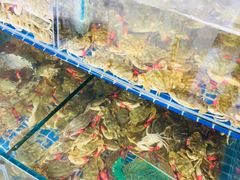 -蟹谢蒸鲜自助餐厅