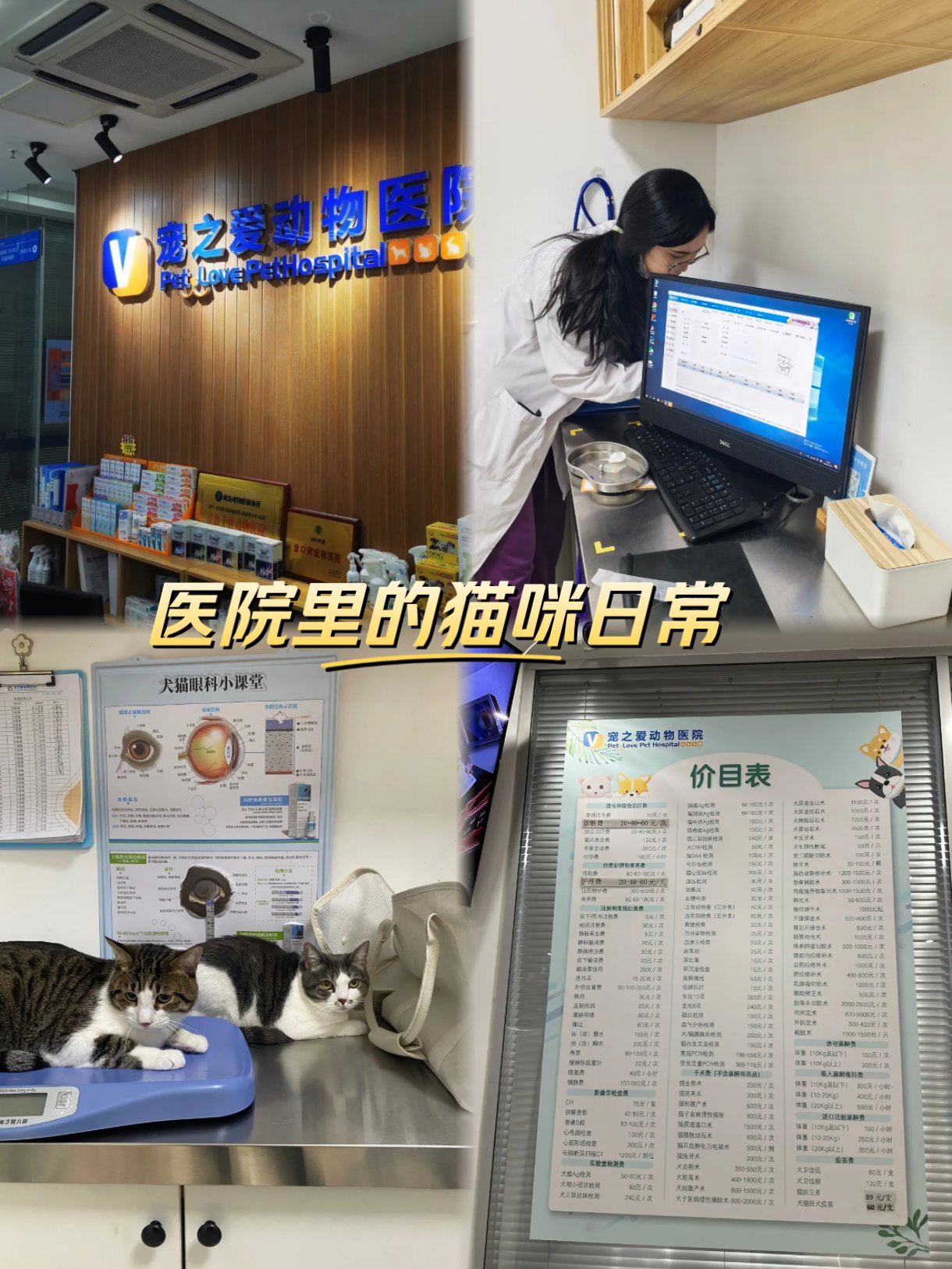 中日友好医院、全程透明收费号贩子联系方式「找对人就有号」的简单介绍