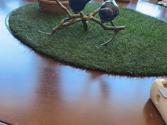 -便宜坊烤鸭店(科创店)