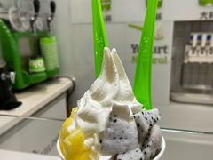 -Salud撒露欧洲冻酸奶(蓝色港湾店)