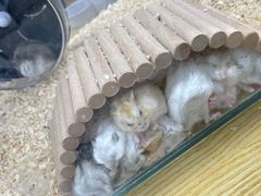 -大悦城(沈阳中街店)