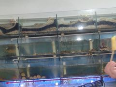 -东山壹号海鲜餐厅(金銮名都店)