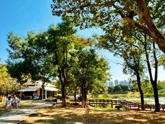 -青龙山国家森林公园