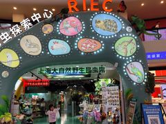 -上海大自然野生昆虫馆(东方明珠·爬宠昆虫探索中心)