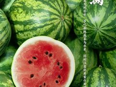 -薛记襄阳香辣牛肉面(平安路店)