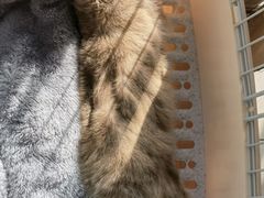 -达爱动物医院·犬猫分区·CT·复杂眼科(远洋山水分院)