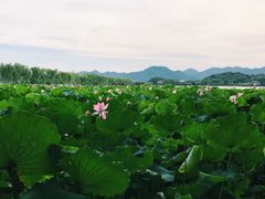 -杭州西湖风景名胜区-北街寻梦