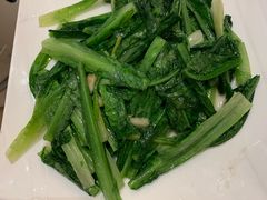 -锦粤宫·精致粤菜(深圳北站店)