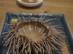 -海胆小馆(东北水饺·春柳店)