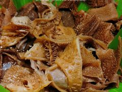 毛肚-九记潮汕现切鲜牛肉自助火锅(长沙·方圆荟店)
