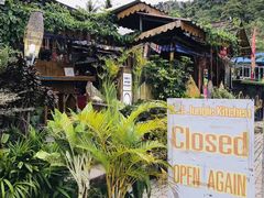 -Jungle Kitchen