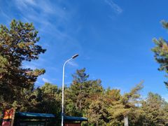 -长春市南湖公园