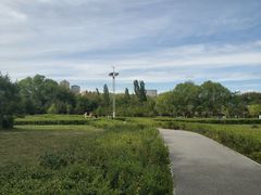 -青城公园