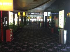 -太平洋影城(紫荆店)