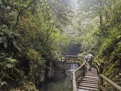 -青城山