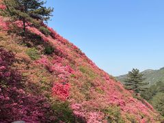 -木兰云雾山