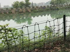 -桐君山春江扬帆码头