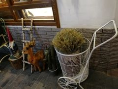 -骑鹅公社(南开大悦城店)