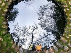 -燕子河大峡谷天坑仙境