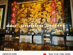 -长沙富力万达文华酒店