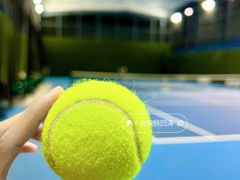 -齐动力网球(六里桥威尼斯基地)