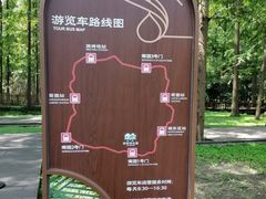 -东平国家森林公园