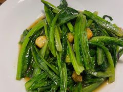 -新白鹿餐厅(百联中环店)