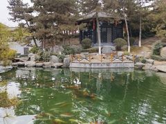 -中国唐苑