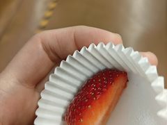 -麦德龙(十里河店)