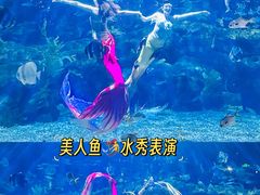 -郑州海洋馆