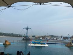 -秦皇岛乐岛海洋王国