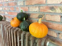 -万源龙顺度假庄园生态观光园