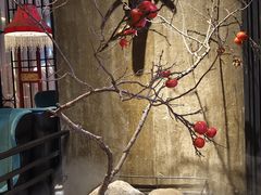 -吴越荣记苏州菜·松鼠桂鱼(月光码头店)