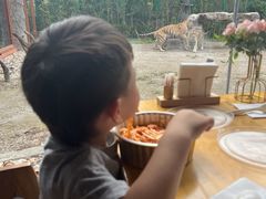 -上海野生动物园老虎餐厅