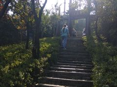 -杭州半山国家森林公园