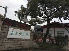 -嘉定紫藤园