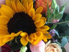 -渔家傲(唐人店)