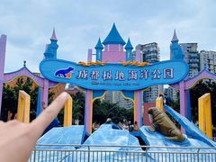 -海合安成都极地海洋公园