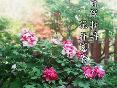 -江南大学(蠡湖校区)