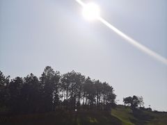 -衢州飞鸿滑草场