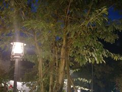 -楠柏弯休闲山庄(梨花溪店)