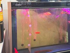 -老杨头烧烤(博烤堂店)