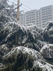 点击看大图 -爱秀造型 T-G