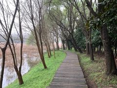 -大蜀山国家森林公园
