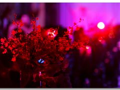 呆牛影像0582-北京西国贸大酒店