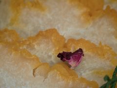 -慢丽江·云南野生菌土鸡锅(西山店)